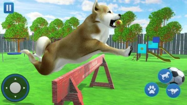 狗生活模拟器3D